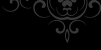 fond DG Sport Consulting
